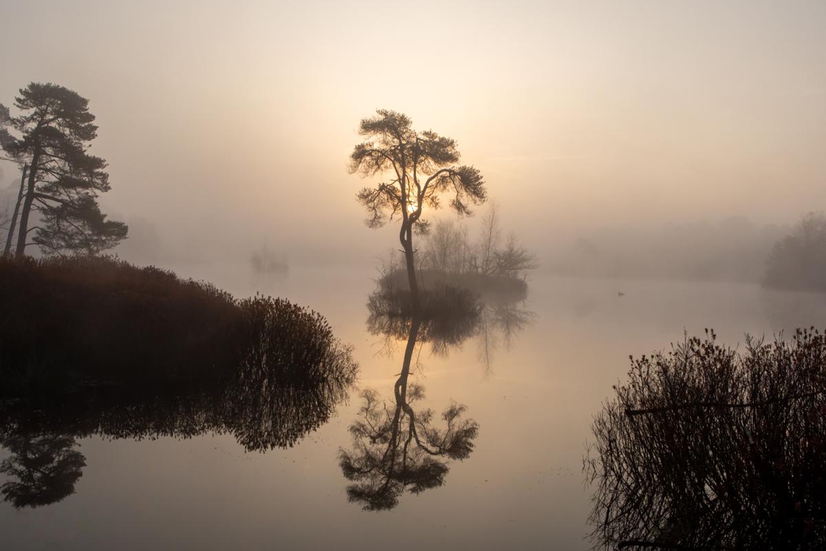 Oisterwijkse Vennen 1